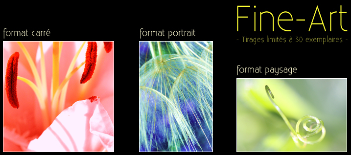 photographie fine art diaporama
